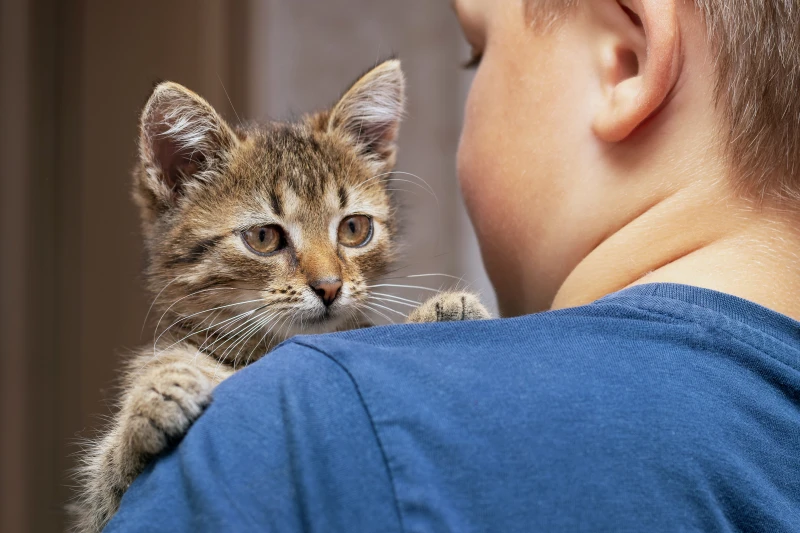 Understanding the “Cat Whisperer” Concept